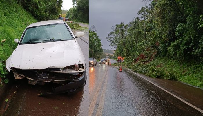 Guaraniaçu - Por conta das fortes chuvas árvore cai na BR 277 e causa acidente